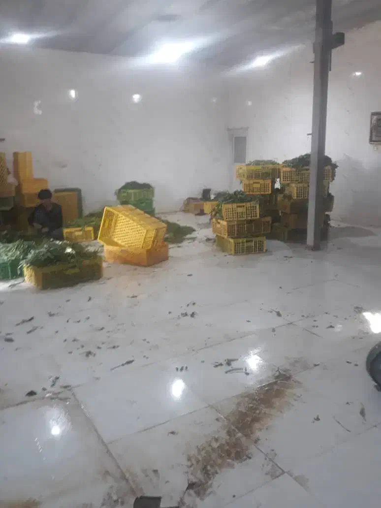 رهن و اجاره کارگاه|اجارهٔ دفتر صنعتی، کشاورزی، تجاری|باقرشهر, |دیوار