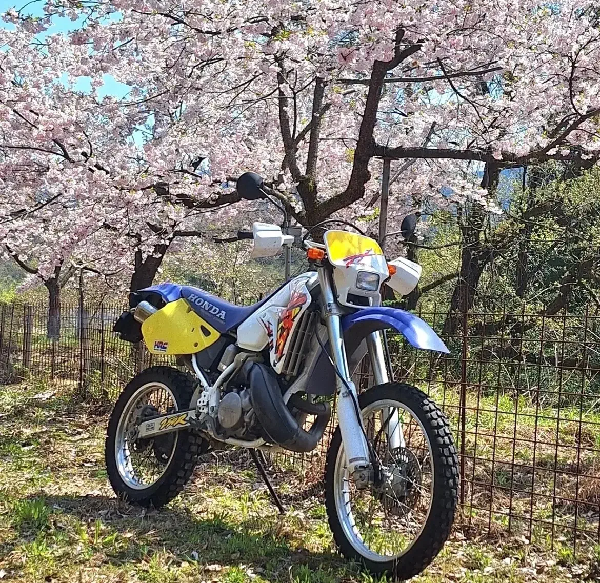 خریدارcrm250|موتورسیکلت|ری, جوانمرد قصاب|دیوار