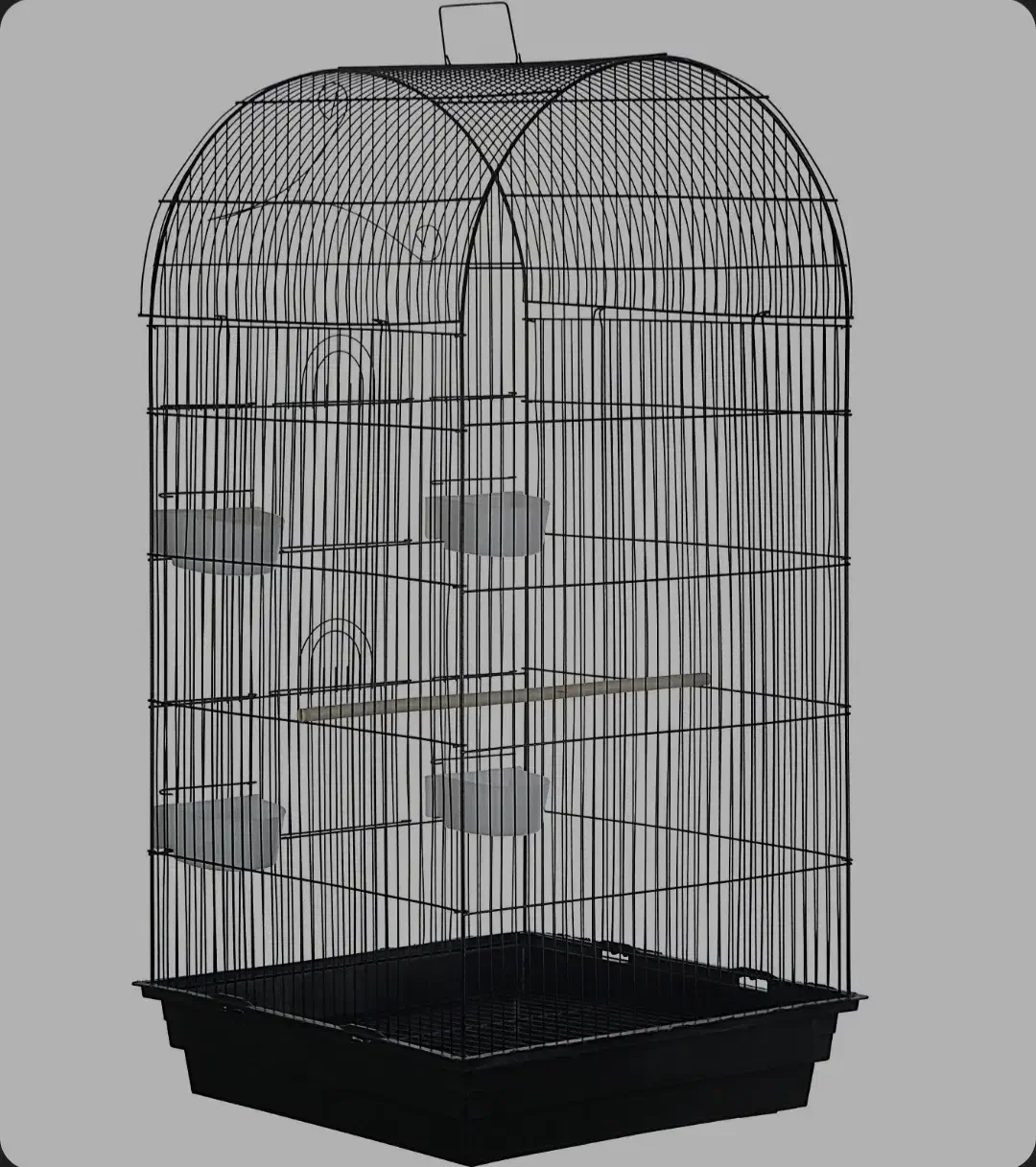 دو عدد عروس هلندی و یه قفس|پرنده|ایوان, |دیوار