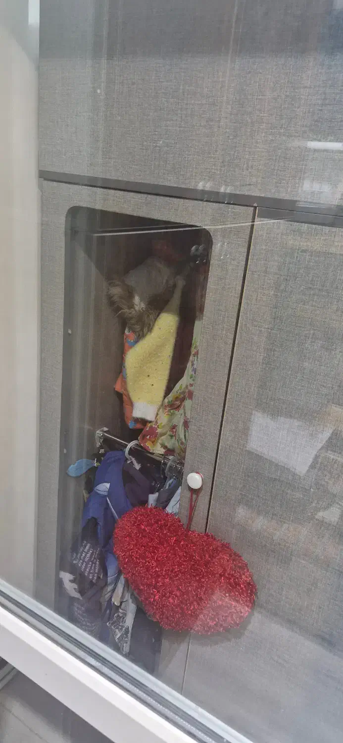 تخت خواب دو طبق کودک و نوجوان|تخت و سرویس خواب|ملارد, |دیوار