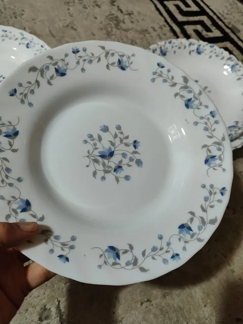 آرکوپال اماراتی|ظروف سرو و پذیرایی|اصفهان, ملاصدرا|دیوار