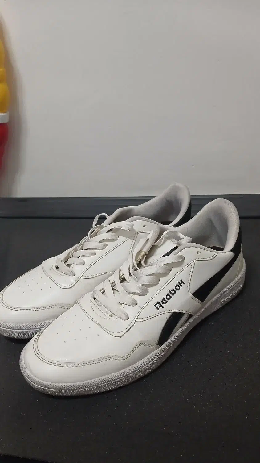 کفش|کیف، کفش، کمربند|فردوس (خراسان), |دیوار