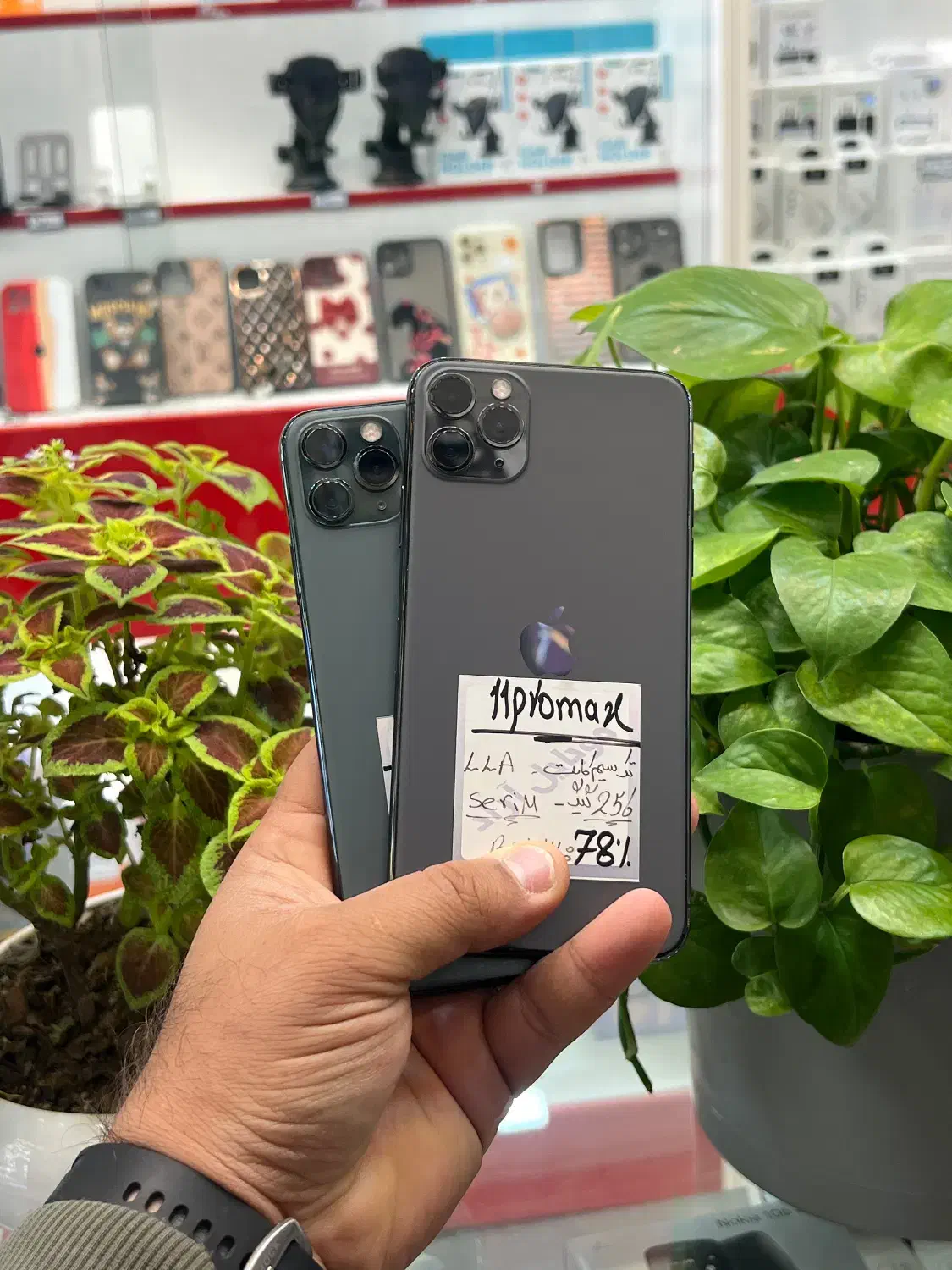 iPhone 11 promax|موبایل|شیراز, زند|دیوار