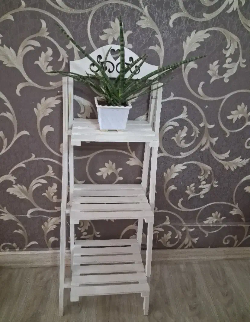 شلف گلدان|کتابخانه، شلف، قفسه‌های دیواری|تبریز, |دیوار