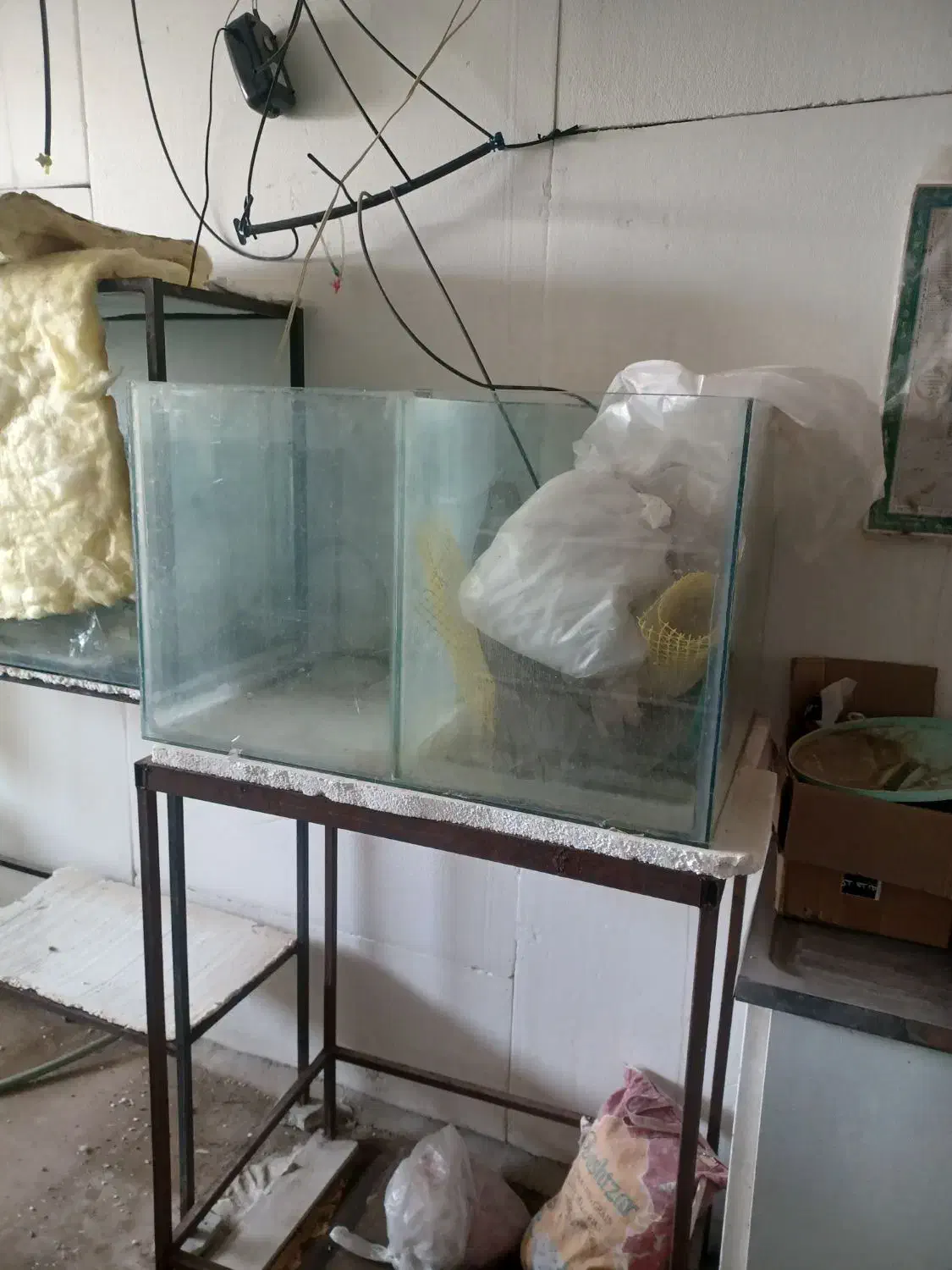 اکواریوم سالنی|ماهی|برخوار, |دیوار