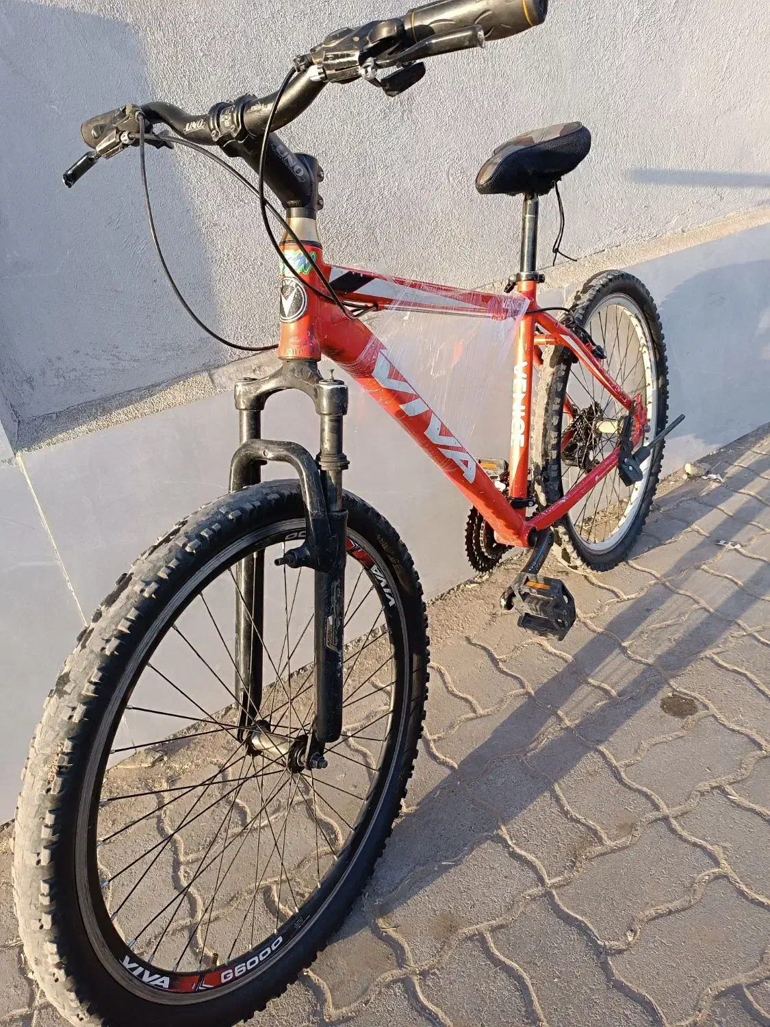 دو عدد دوچرخه ویوا و ویسا حرفه ای سایز ۲۴ و ۲۶|دوچرخه، اسکیت، اسکوتر|تربت جام, جامی|دیوار