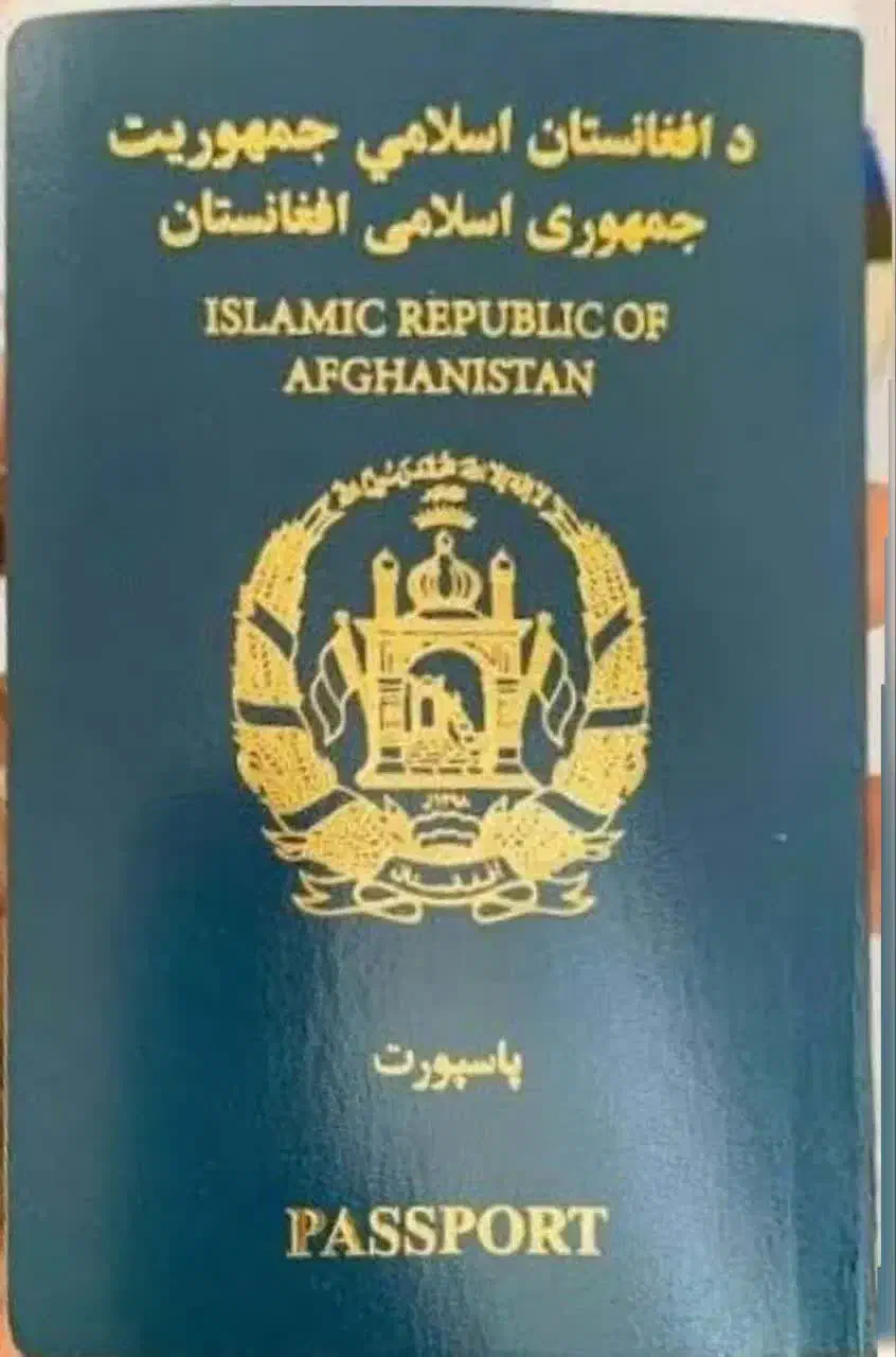 پاسپورت بنام «محسن احمدی» مفقود شده|اشیا|قم, عمار یاسر|دیوار