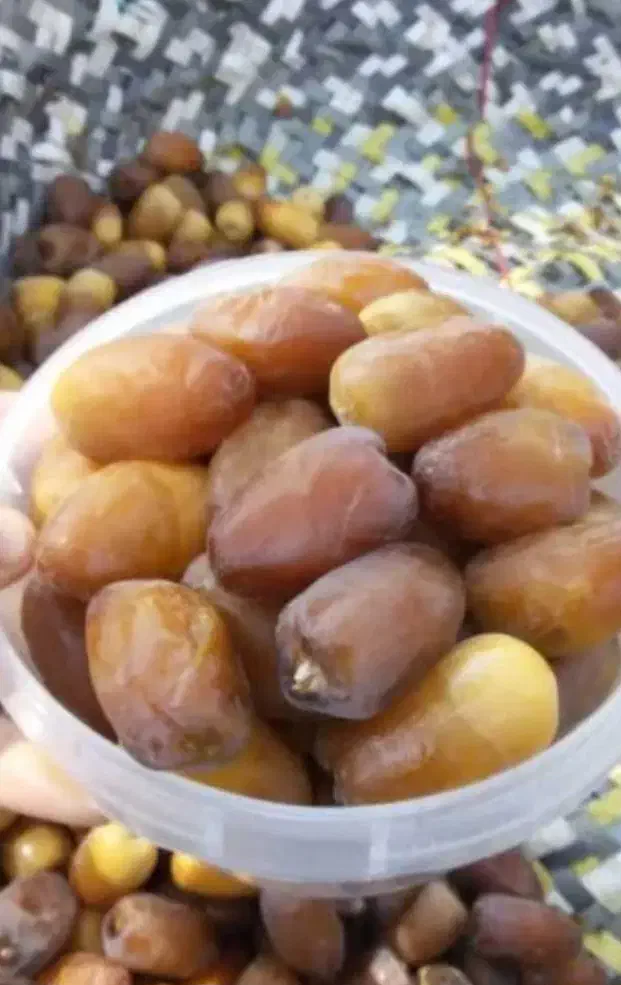 رطب ، هدیه ای از دل نخلستان|خوردنی و آشامیدنی|شیراز, شهرک امیر کبیر|دیوار