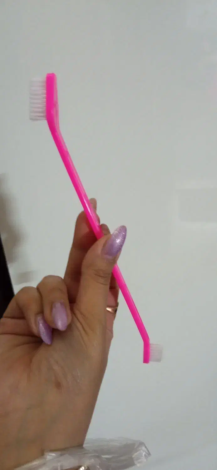 وسایل گربه درحدنو|لوازم جانبی حیوانات|مشهد, مشکینی (شهرک غرب)|دیوار