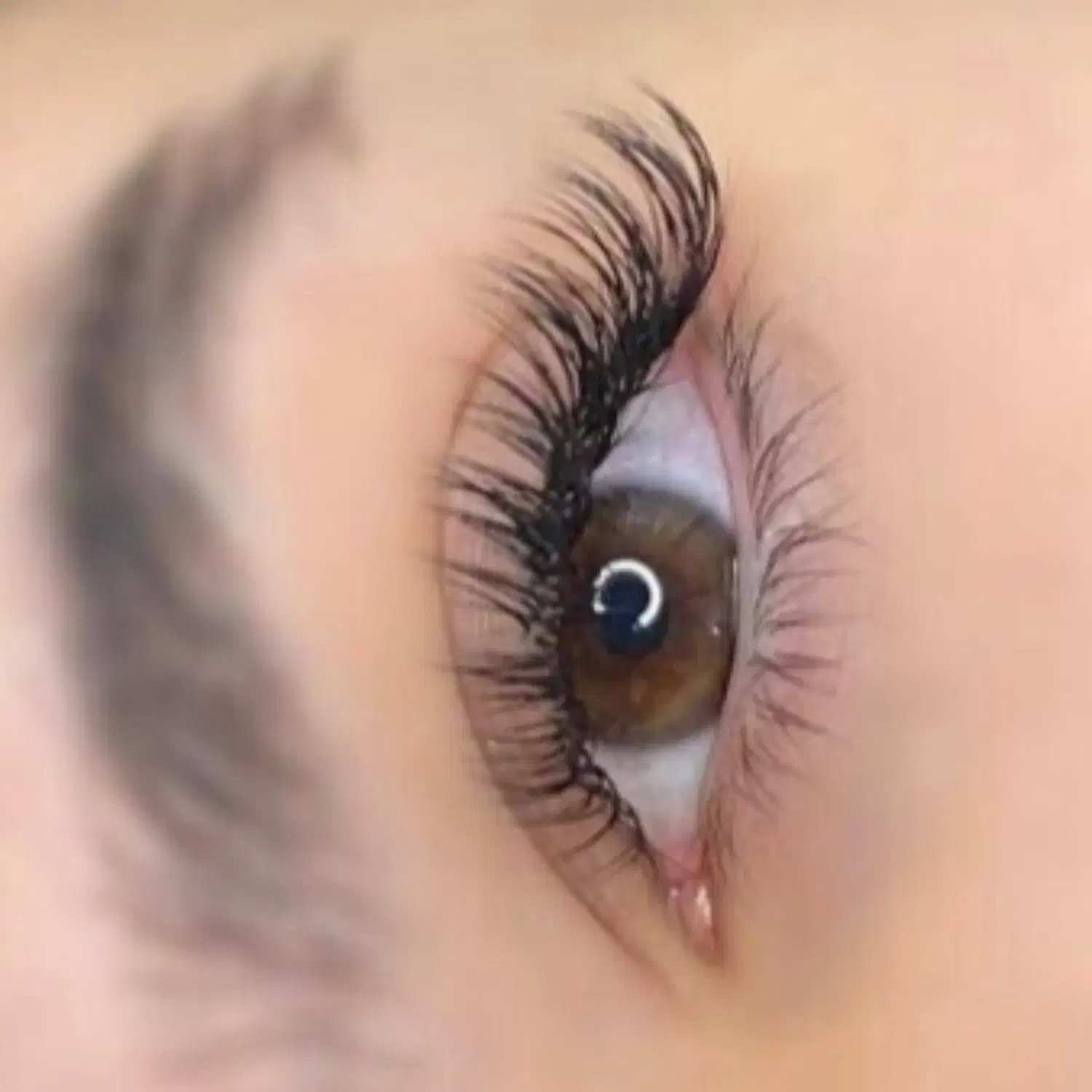 مدل اکستنشن مژه با هزینه مواد|خدمات آرایشگری و زیبایی|رفسنجان, |دیوار