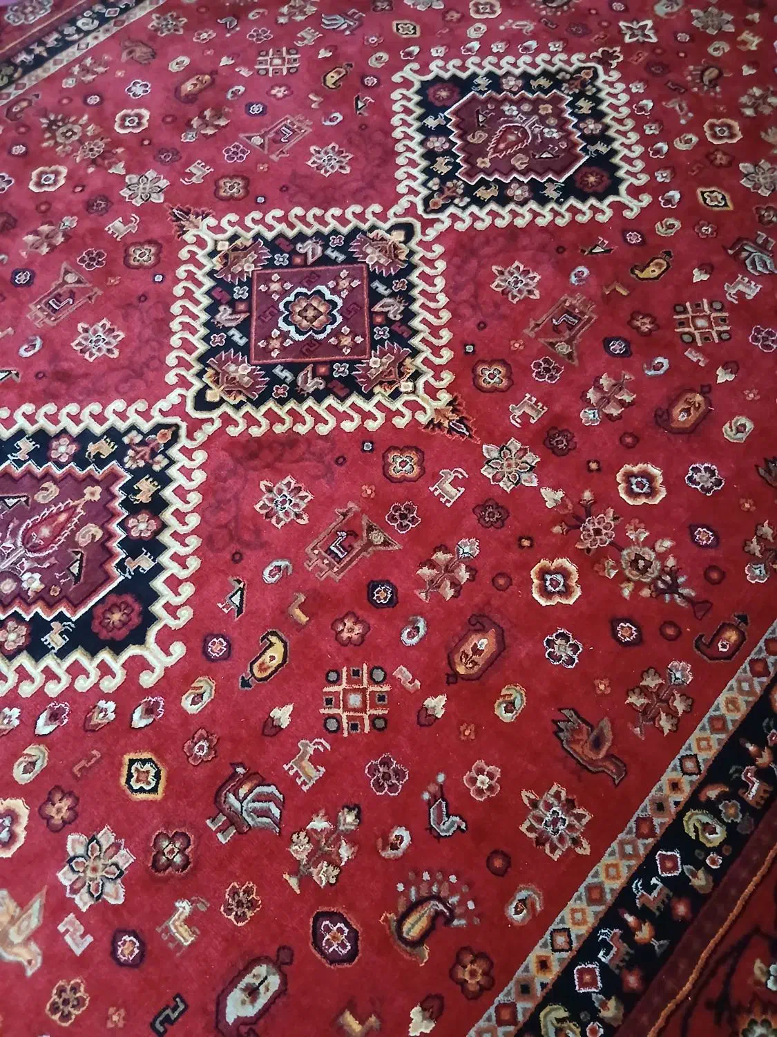 ۹متری فرش ۱۲متر  فرش|فرش|بندرعباس, |دیوار