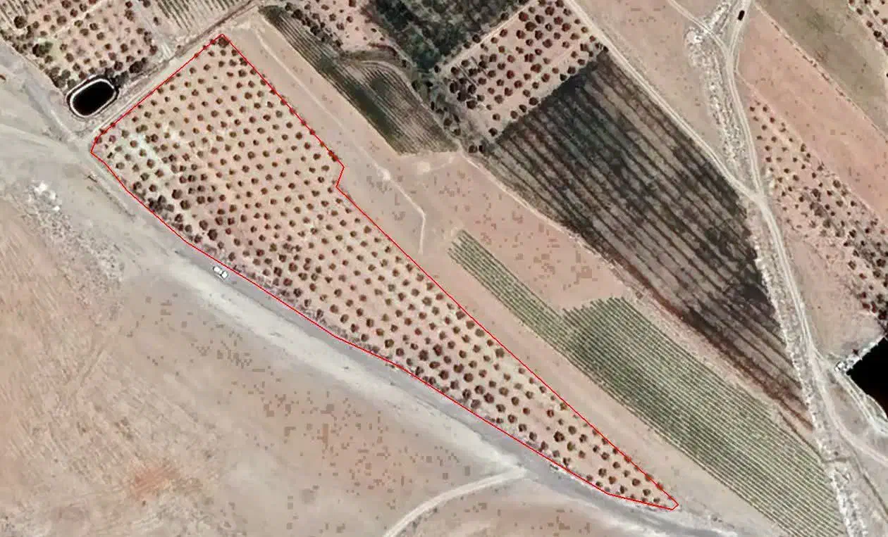 باغ یک هکتاری سمیرم مناسب گلخانه|فروش دفتر صنعتی، کشاورزی، تجاری|اصفهان, جی شیر|دیوار