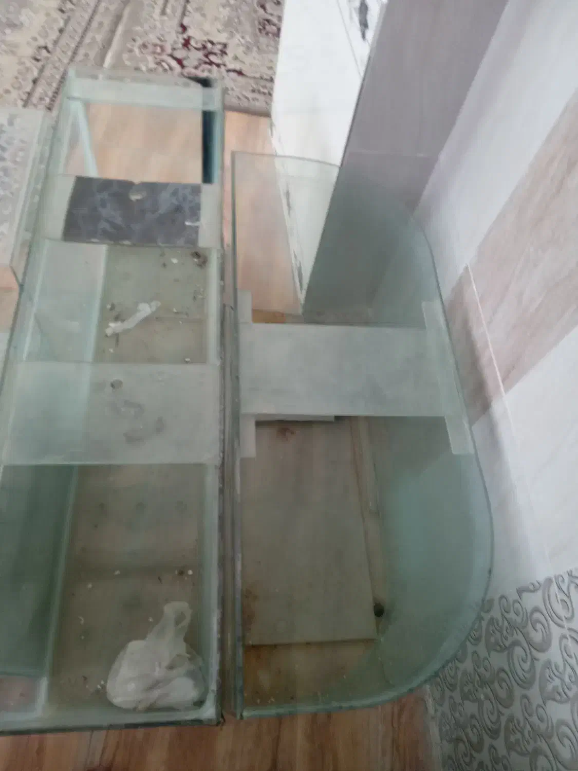 فروش اکواریوم فوری|ماهی|سامان, |دیوار