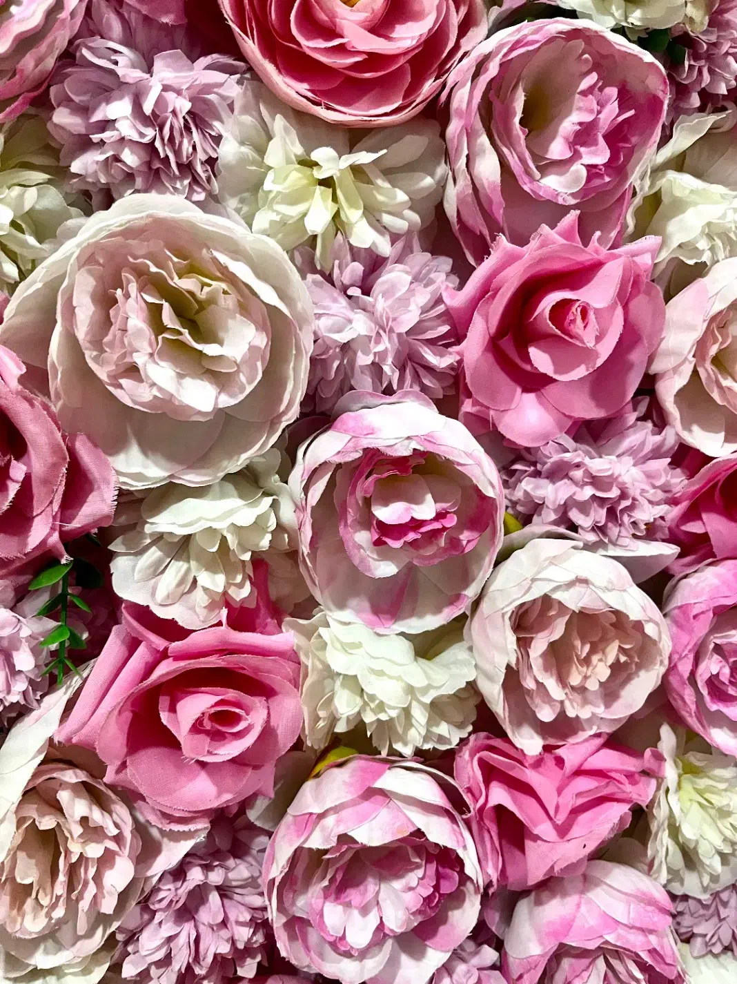 دیوار گل مصنوعی|گل مصنوعی|اهواز, کوی نفت|دیوار