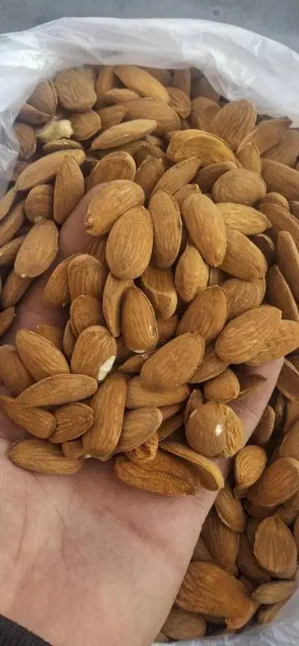 بادام با مغز دوقلو|خوردنی و آشامیدنی|شیراز, کوشک میدان|دیوار