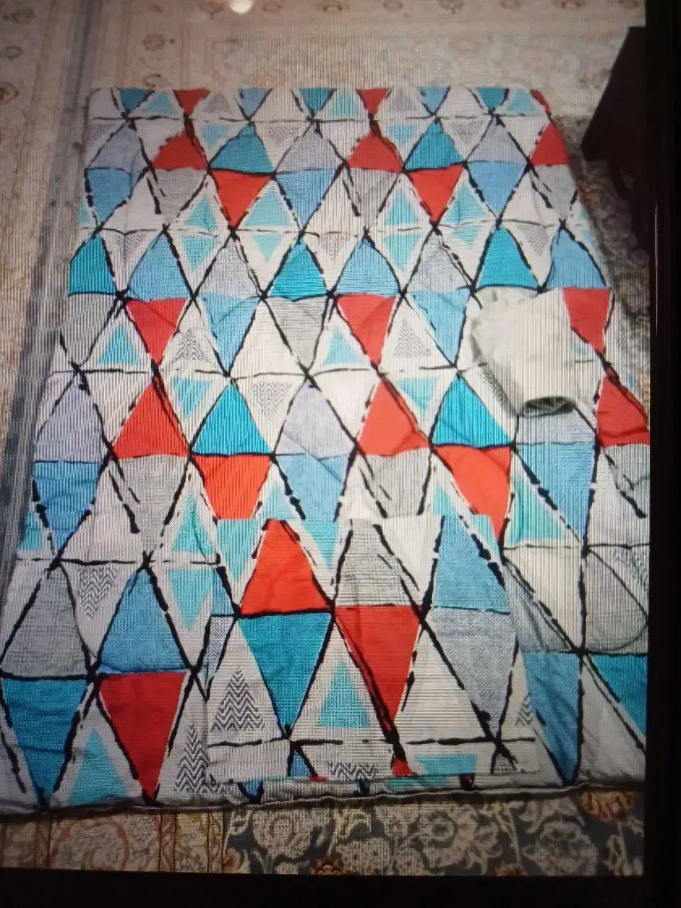 روتختی|سرویس روتختی|زابل, |دیوار