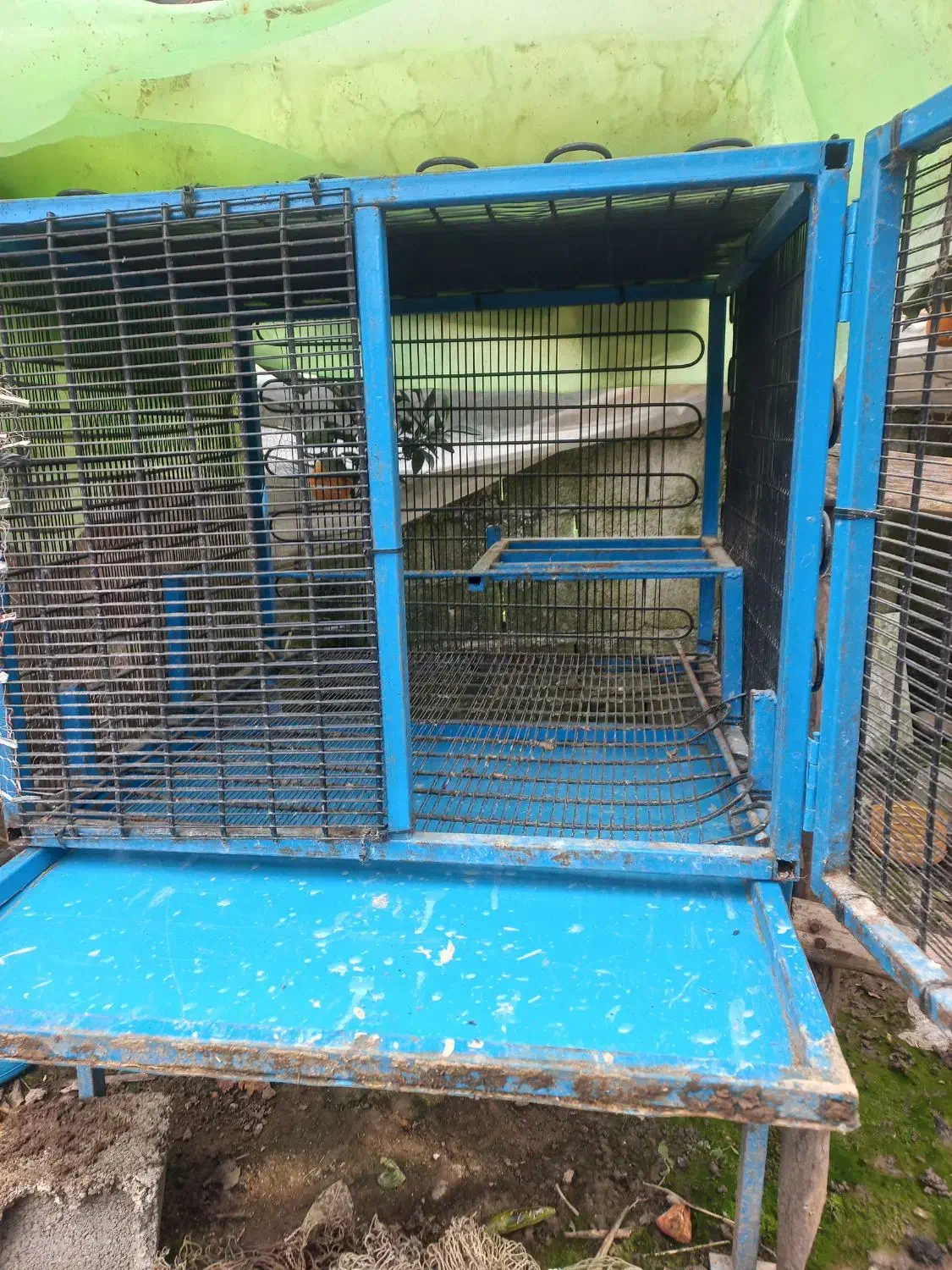 قفس پرندگان محکم وبادوام|لوازم جانبی حیوانات|مرزیکلا, |دیوار