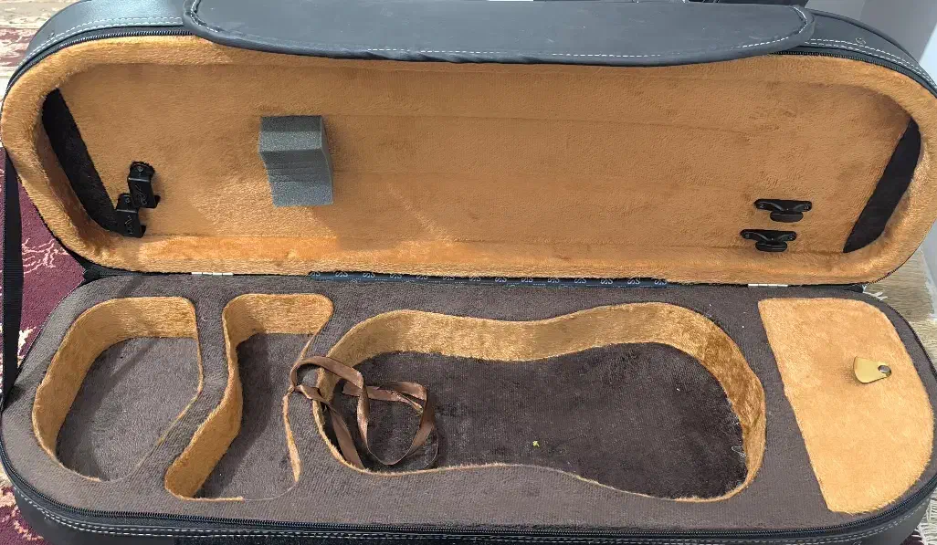 هاریکس|ویولن|شیراز, شهرک قمشه|دیوار