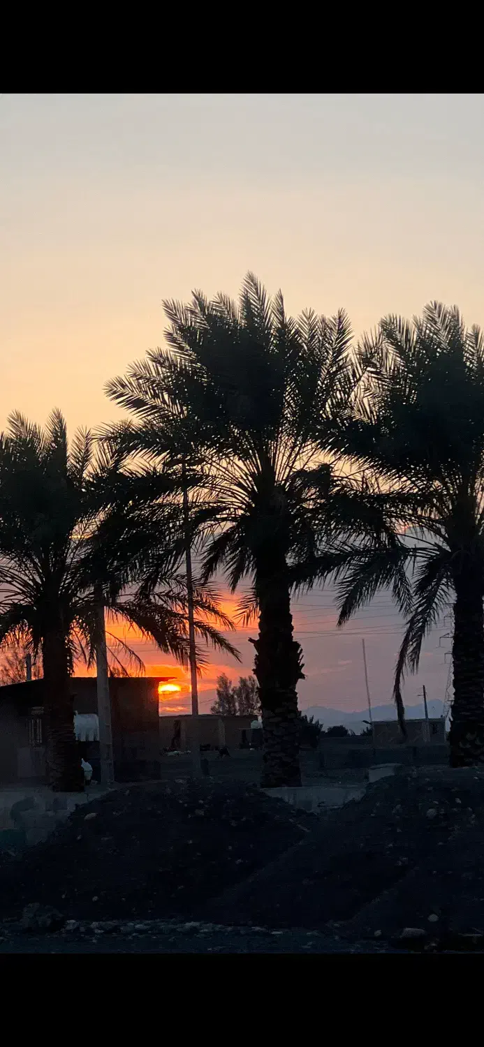 فروش زمین کشاورزی با سند تک برگ|فروش زمین و ملک کلنگی|عنبرآباد, |دیوار