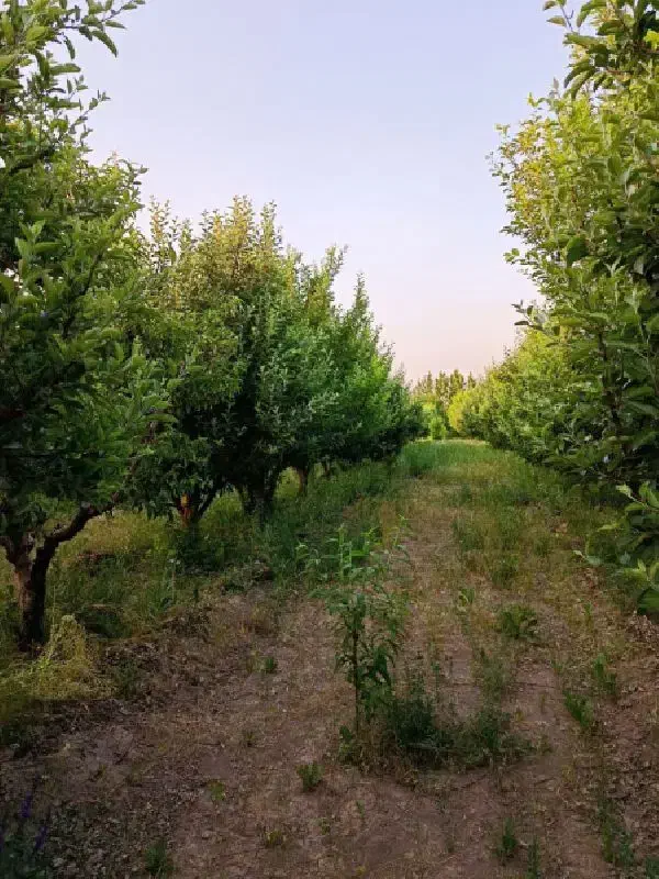 ویلا بر جاده اصلی دارای آب و برق و مجوز|فروش خانه و ویلا|سلماس, |دیوار