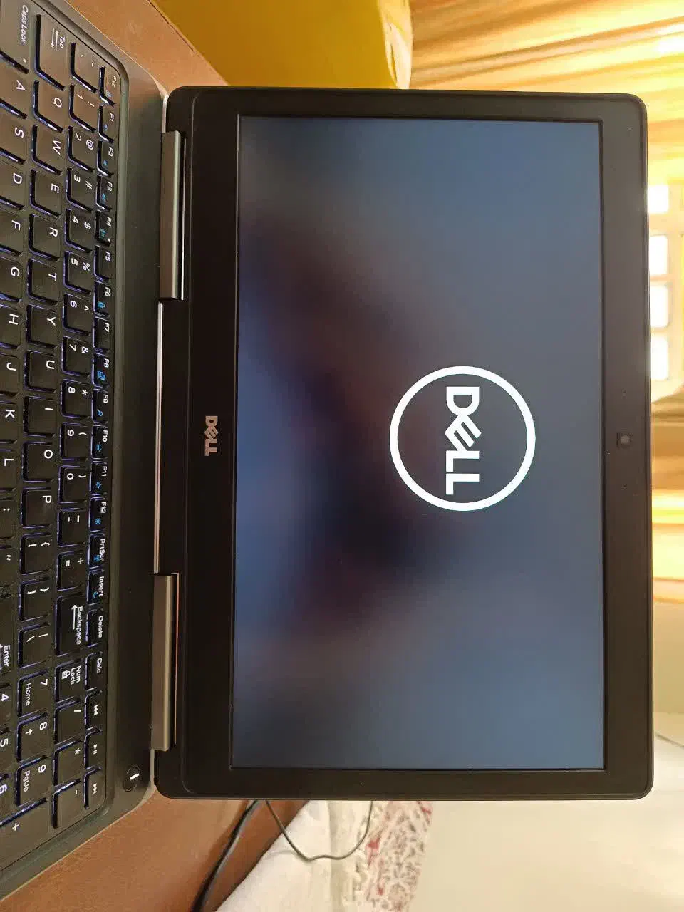 لب تاب دل dell|رایانه همراه|شیراز, دانشگاه شیراز|دیوار