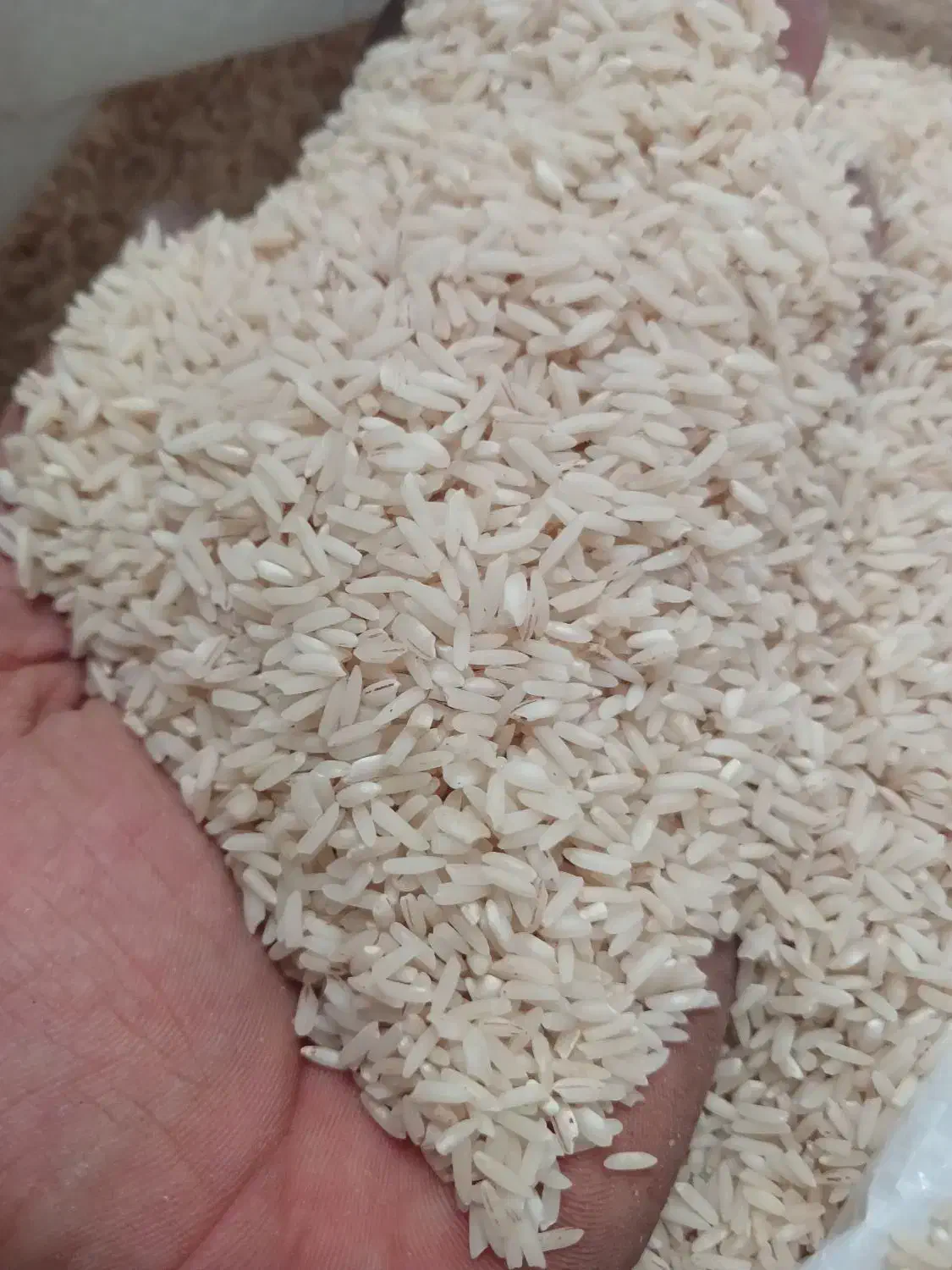 برنج دم سیاه کلات نادر|خوردنی و آشامیدنی|کلات (خراسان), |دیوار