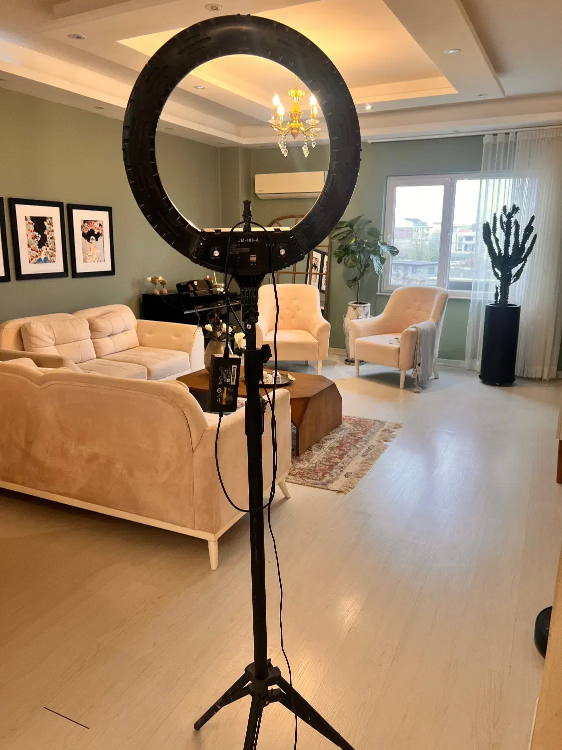 رینگ لایت|صوتی و تصویری|رشت, کاکتوس|دیوار