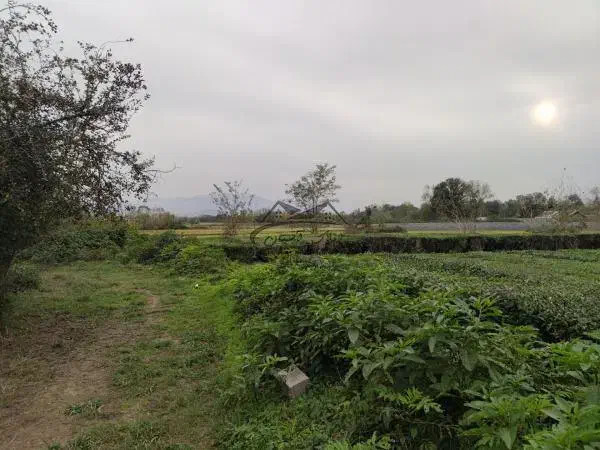 زمین 1000متری کنار آسفالت سند تکبرگ بالای بردستون|فروش زمین و ملک کلنگی|بندر دیر, |دیوار