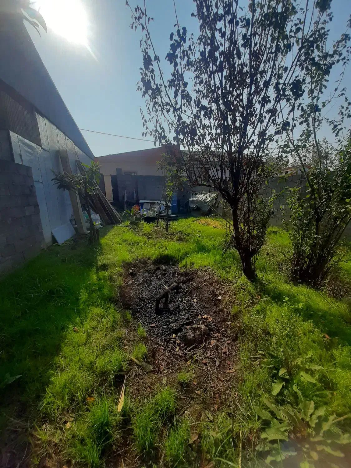 فروش زمین ۱۱۹متری بلوار امام علی کوی زمان(توت دار)|فروش زمین و ملک کلنگی|رشت, آب آسیاب|دیوار