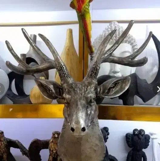 دیوارکوب گوزن طرح طبیعی|مجسمه، تندیس، ماکت|تهران, تهرانسر شرقی|دیوار