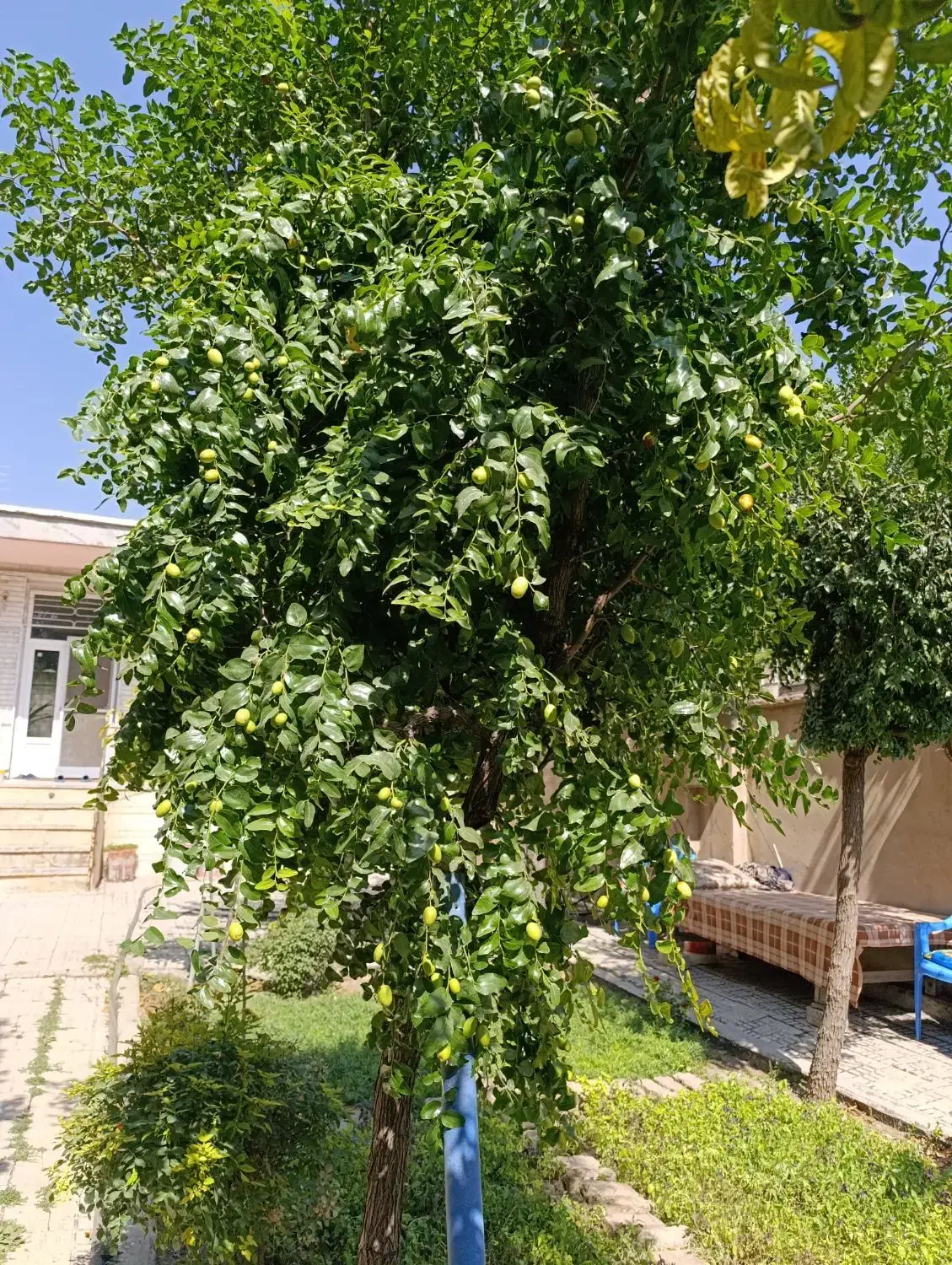 رهن ساختمان ویلایی سه خوابه حیاط بزرگ|اجارهٔ خانه و ویلا|الیگودرز, |دیوار