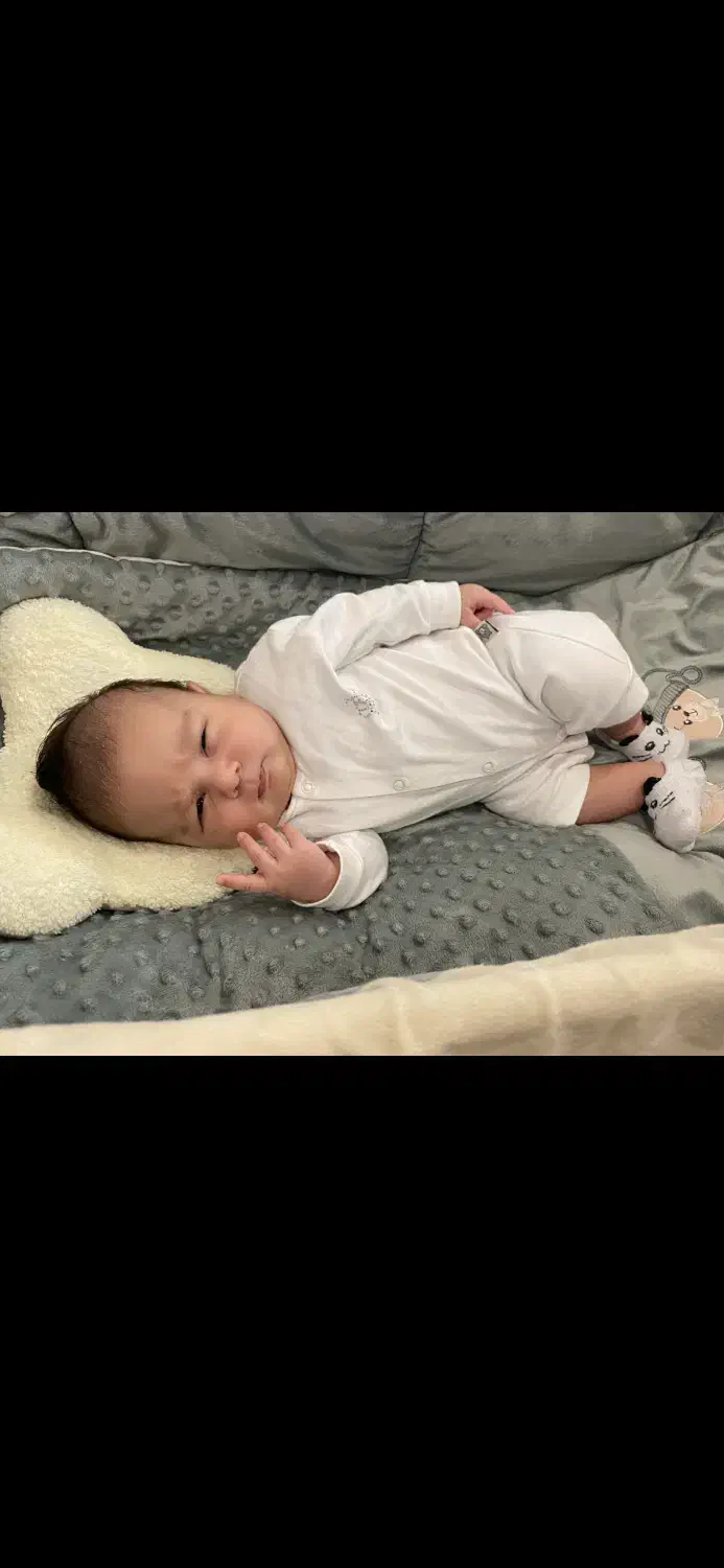 تخت نوزاد|تخت و صندلی بچه|نوشهر, |دیوار