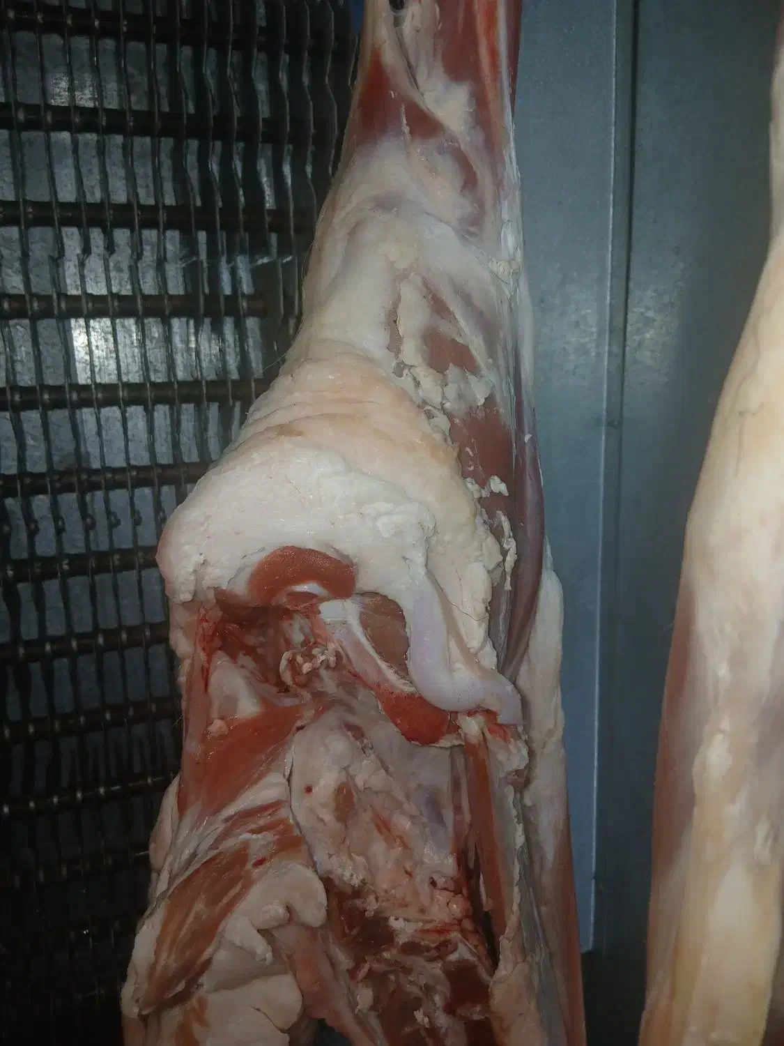 فروش گوشت بره درجه یک|خوردنی و آشامیدنی|اصفهان, جوزدان الیادران|دیوار