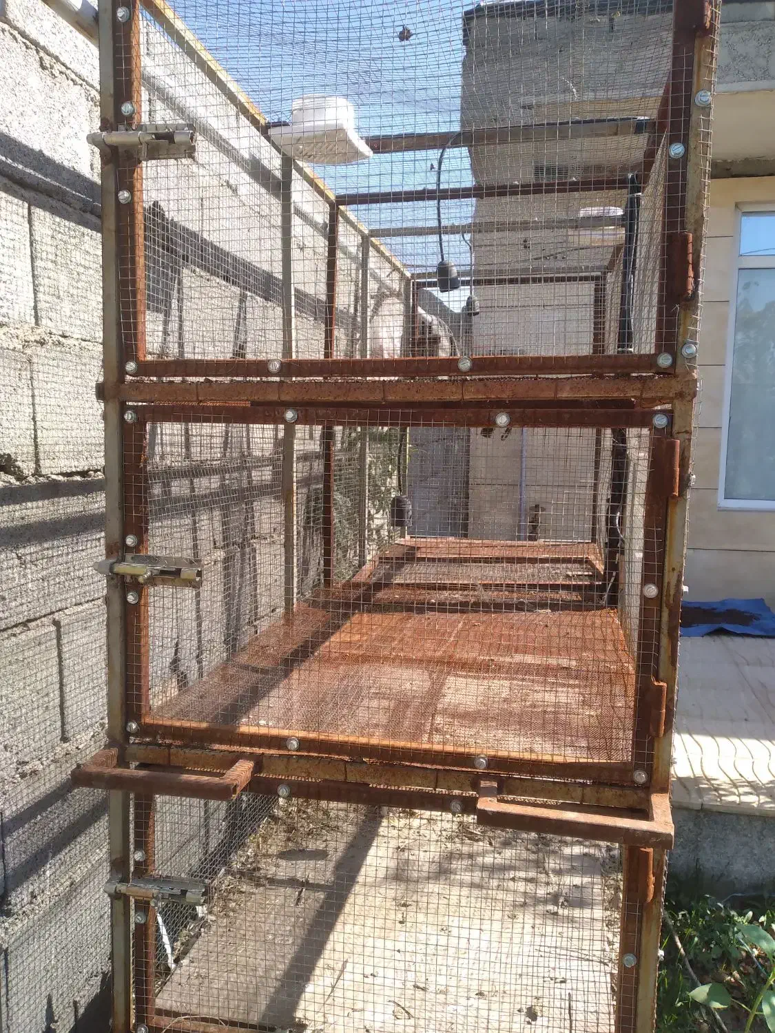 یک عدد قفس آهنی|لوازم جانبی حیوانات|شبستر, |دیوار