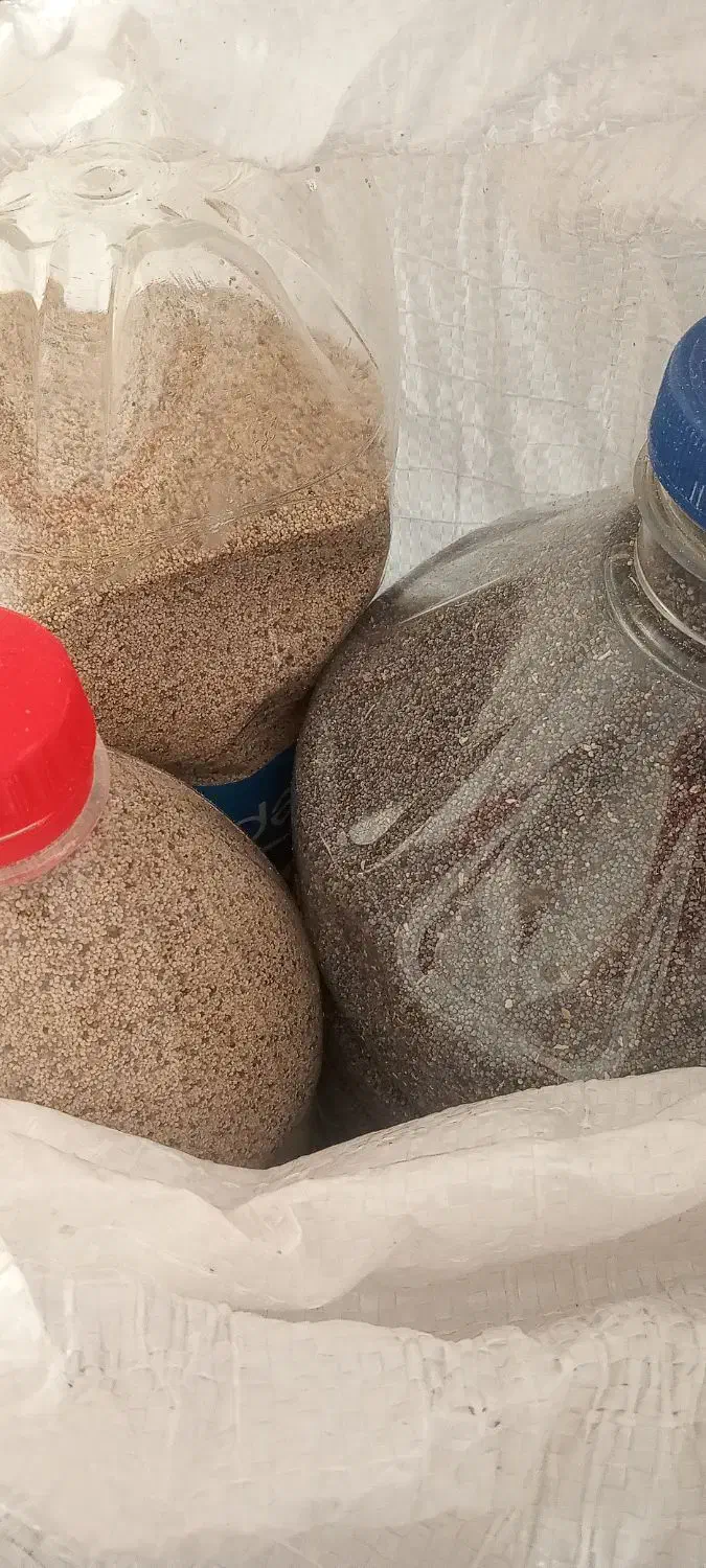 بذر کشاورزی|گل و گیاه طبیعی|کوهدشت, |دیوار