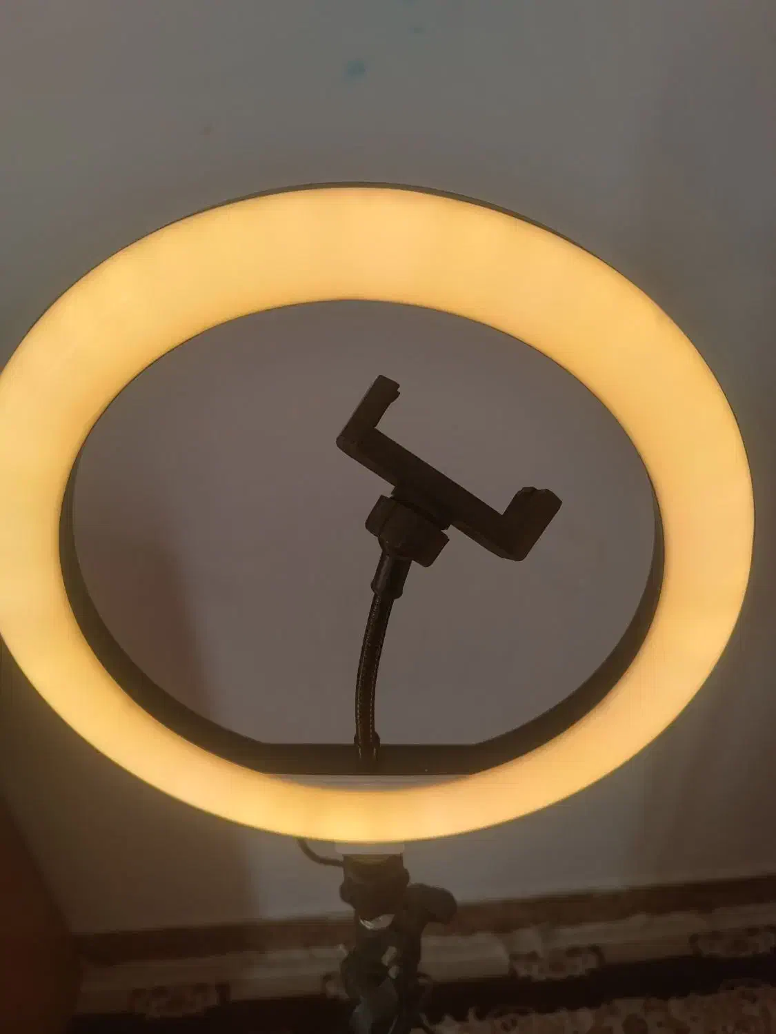 رینگ لایت|دوربین عکاسی و فیلم‌برداری|کرمانشاه, |دیوار