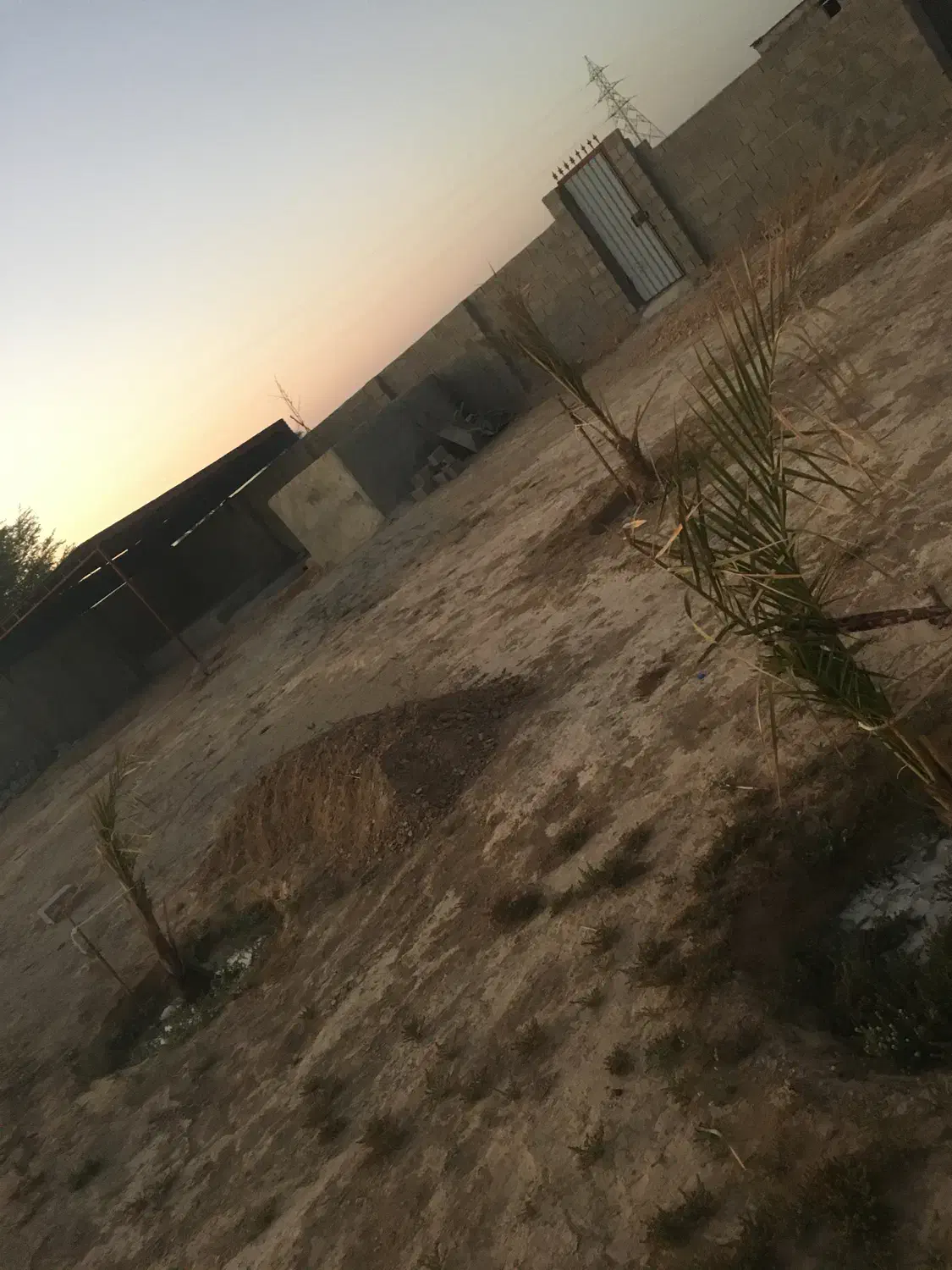 باغ چاهبردی|فروش دفتر صنعتی، کشاورزی، تجاری|بندر گناوه, |دیوار