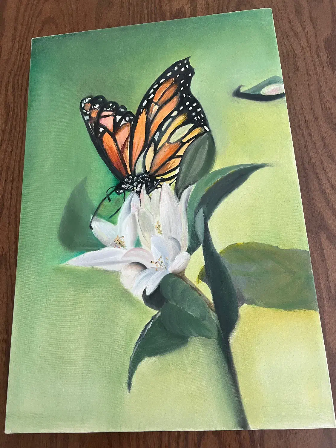 تابلو های رنگ روغن طرح گل و پروانه|تابلو، نقاشی، عکس|تهران, درکه|دیوار