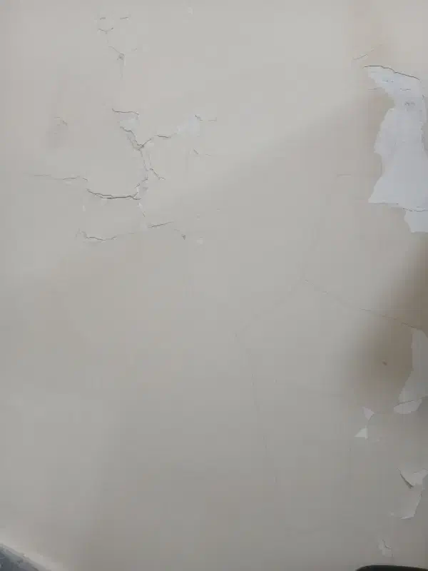 خدمات|فعالیت داوطلبانه|بروجرد, |دیوار