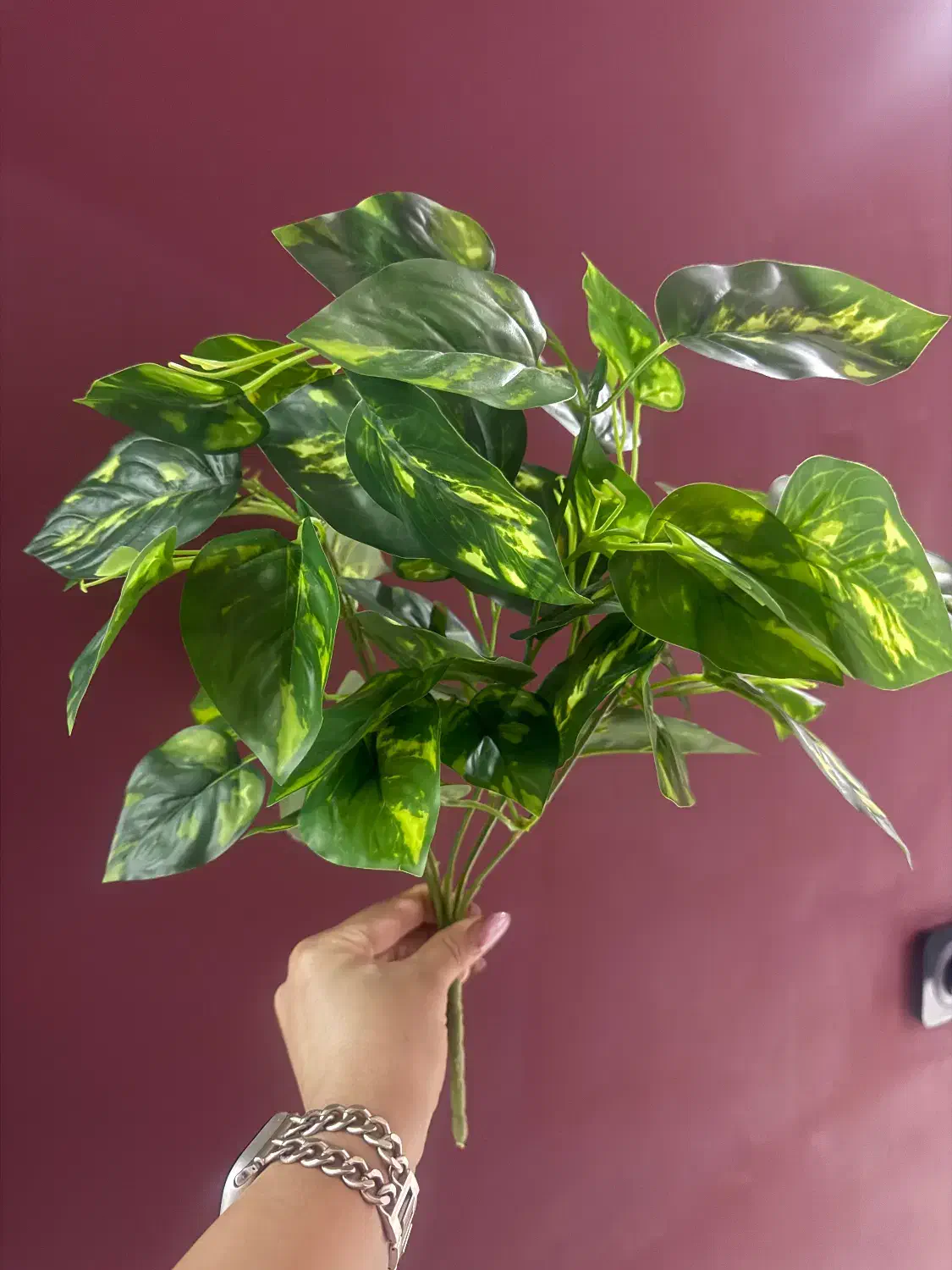 گل مصنوعی|گل مصنوعی|گنبد کاووس, |دیوار