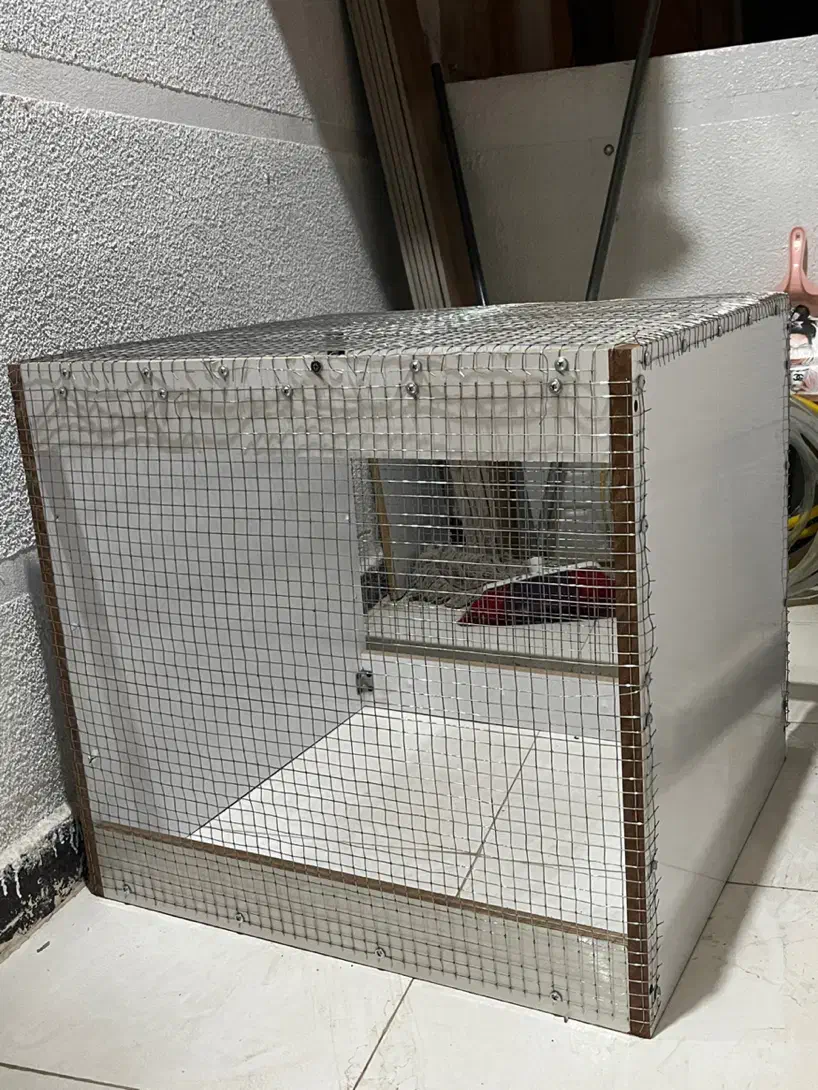 قفس مرغ یا پرنده|لوازم جانبی حیوانات|دوگنبدان, |دیوار