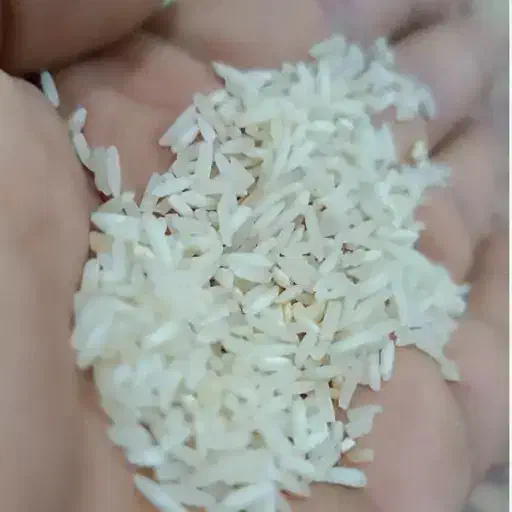 برنج هیر دامن|خوردنی و آشامیدنی|ایرانشهر, |دیوار