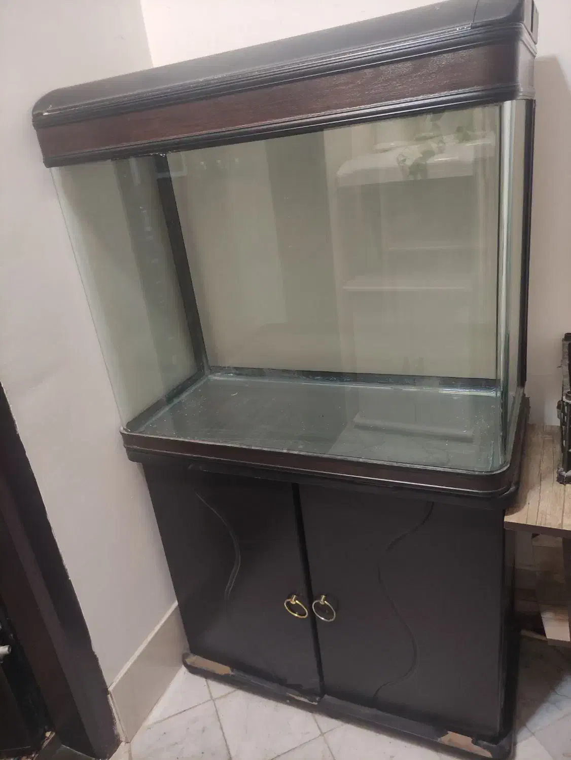 دو عدد آکواریوم|ماهی|مشهد, امام رضا (ع)|دیوار