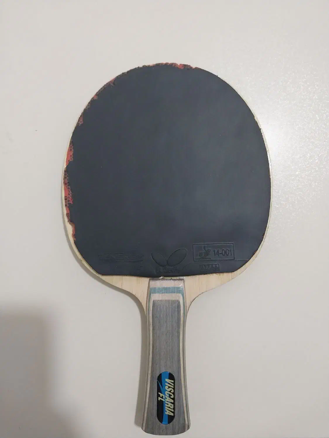 تخته ویسکاریا|ورزشهای توپی|اردبیل, |دیوار