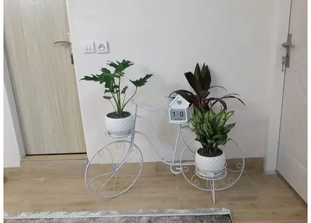 استند گل و گلدان فلزی طرح دوچرخه|گل و گیاه طبیعی|ری, تصفیه خانه|دیوار