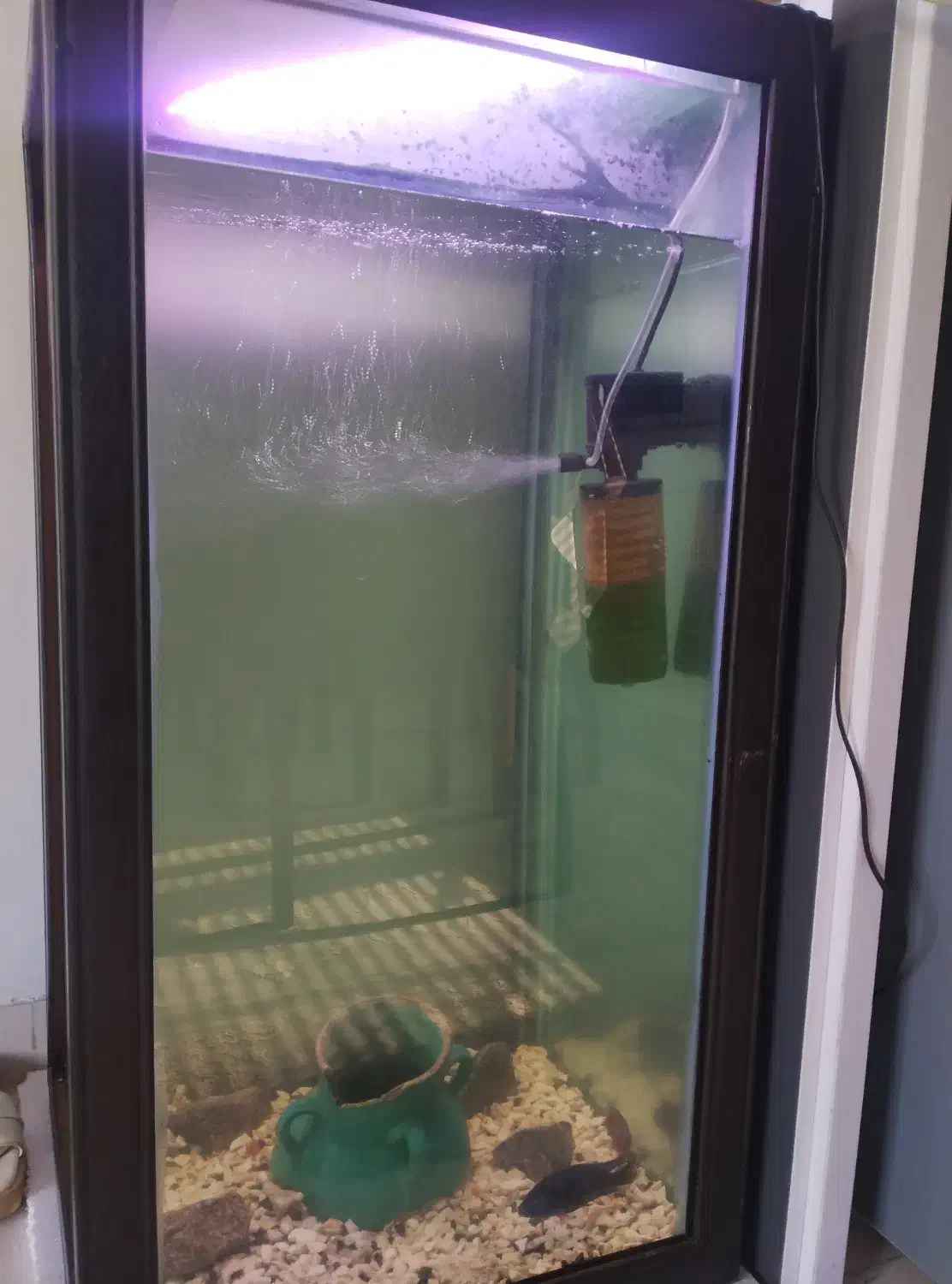 آکواریوم ۵۰در۷۰|ماهی|لنگرود, |دیوار