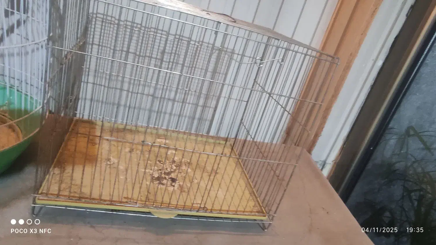 قفس پرنده|لوازم جانبی حیوانات|فولادشهر, B2|دیوار