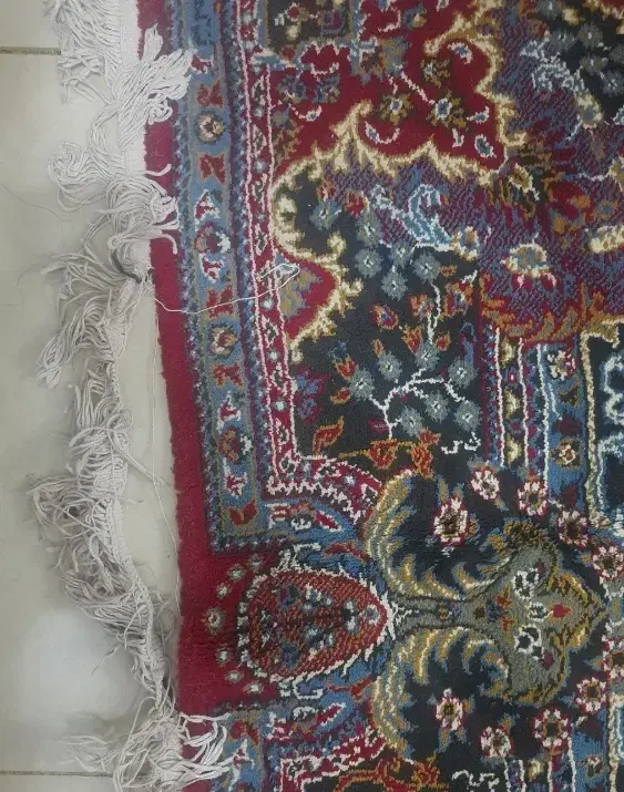 فرش شیش متری|فرش|کرمانشاه, |دیوار