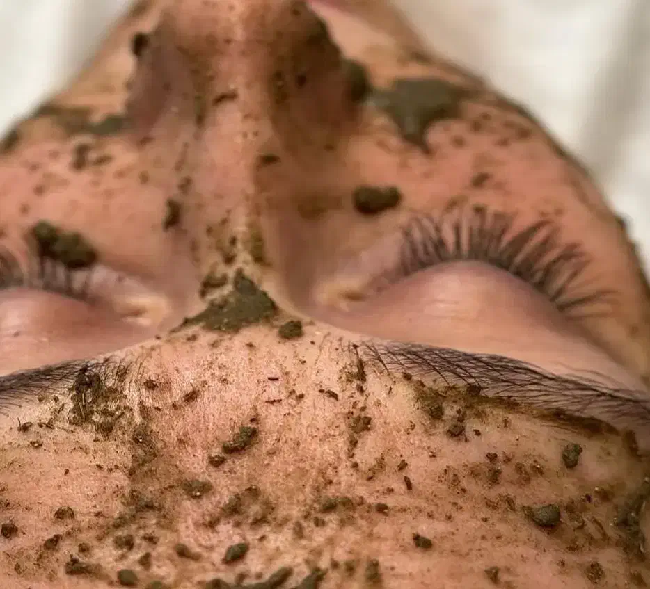 آموزش آلگاپیل (تکنیک پوست مار)|خدمات آموزشی|لنجان, |دیوار