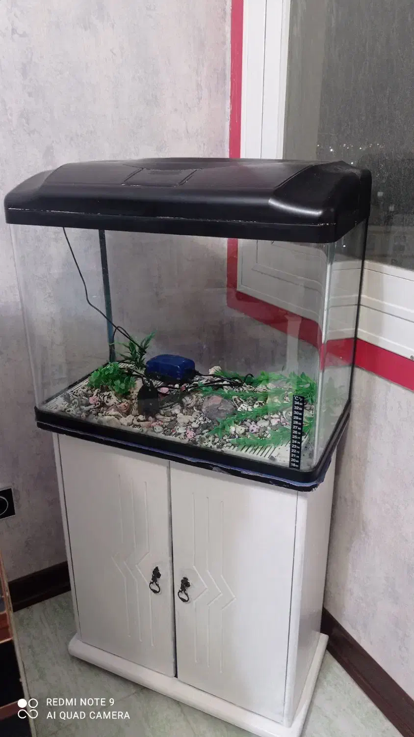 فروش وسایل خانگی اجاق گاز و هود و آکواریوم.|سایر لوازم برقی|بندرعباس, |دیوار